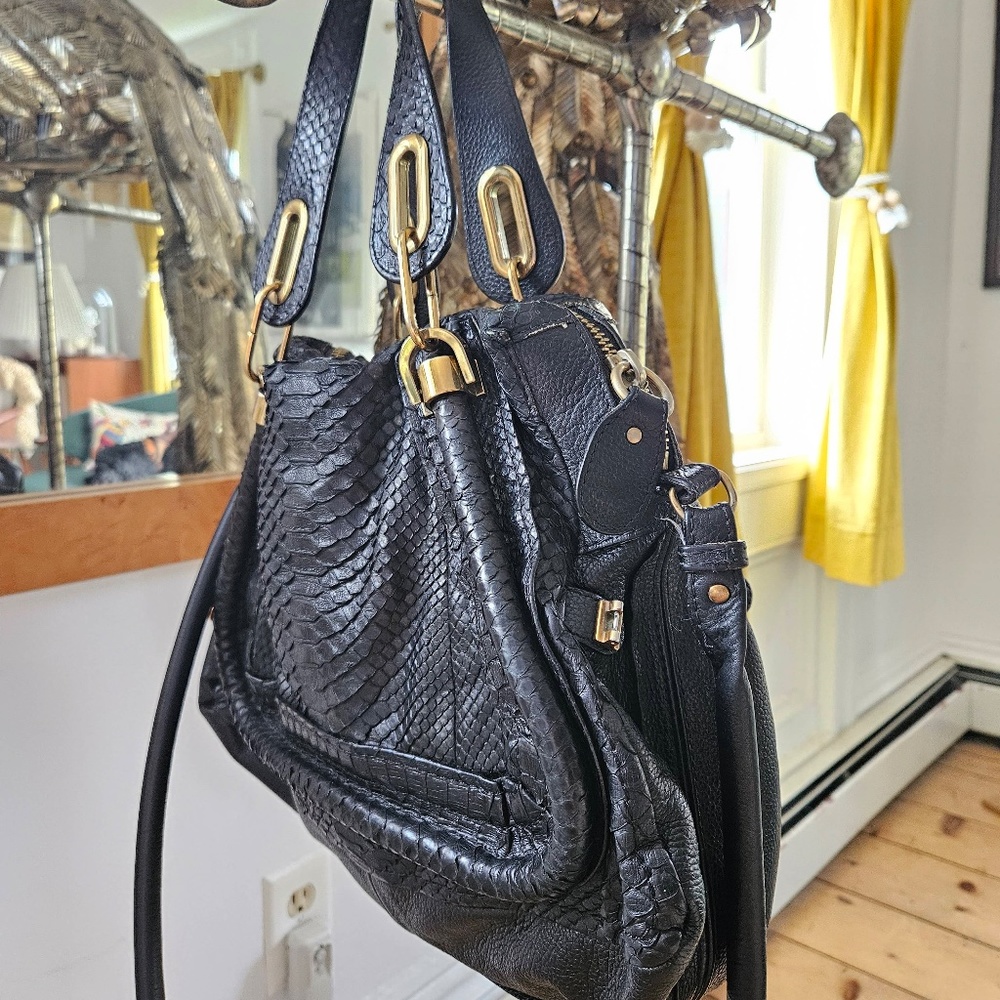 Gorgeous snake skin Chloe bag